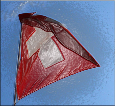 Švicarska zastava - obrada