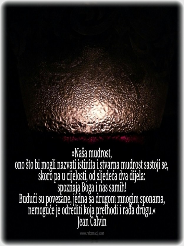 calvinov slogan